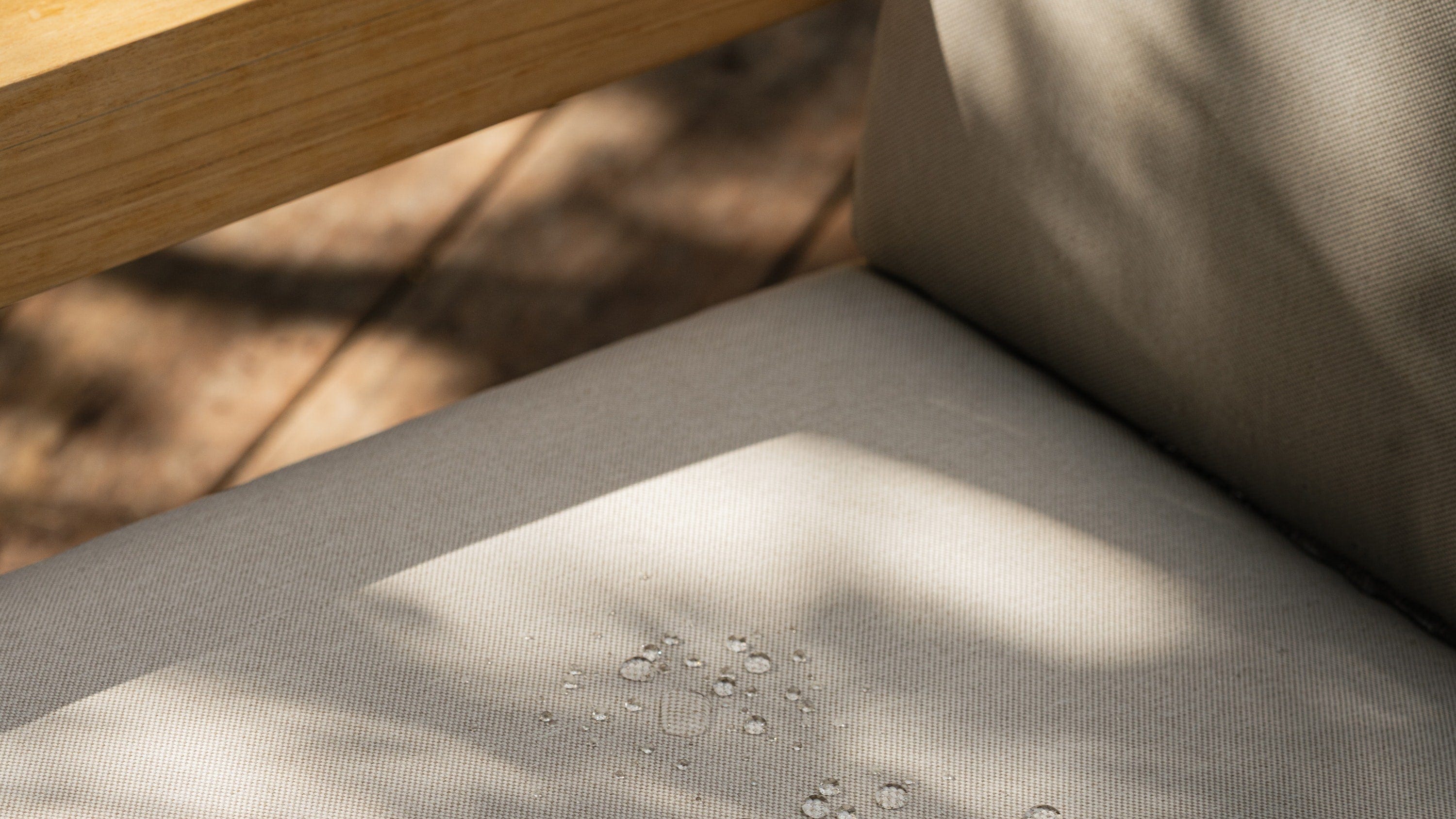 Cove Lounge Chair