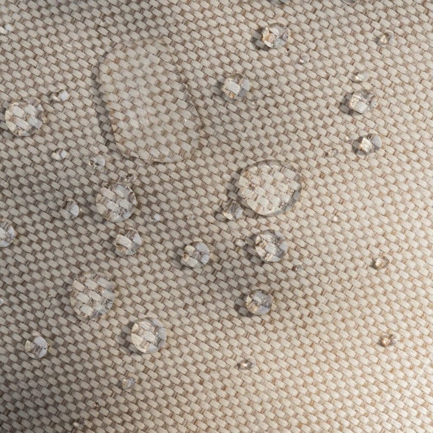 Cove Lounge Chair